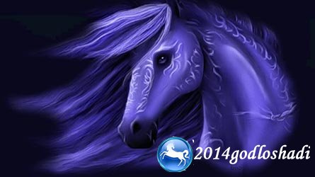 Необычные Картинки с лошадьми 2014

