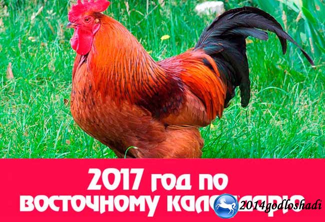 Какой будет новый год 2017 по восточному календарю