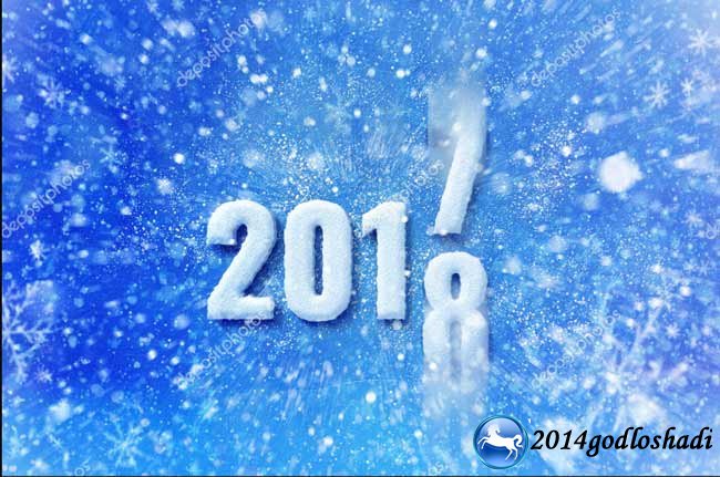 Новый год 2018: новогодние блюда 2018 в год Собаки с фото к новогоднему столу